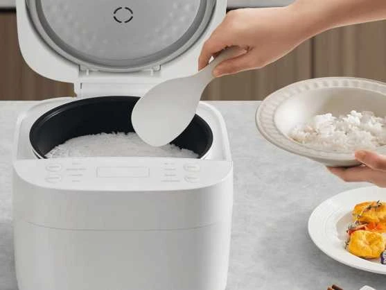 Xiaomi išmanioji daugiafunkcinė ryžių viryklė