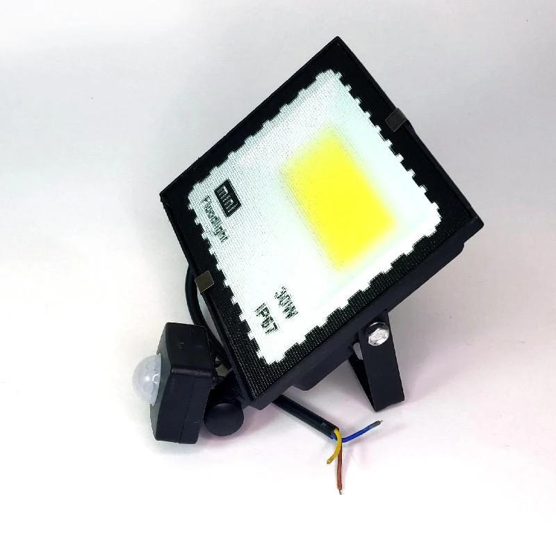 30w LED prožektorius su judesio davikliu 6500k mINI IP67