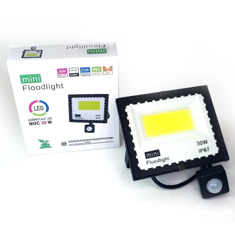 30w LED prožektorius su judesio davikliu 6500k mINI IP67