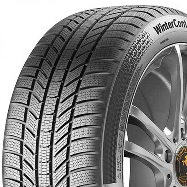 „Continental“ 255/45R20 „WINTERCONTACT TS 870 P 101T“ padanga