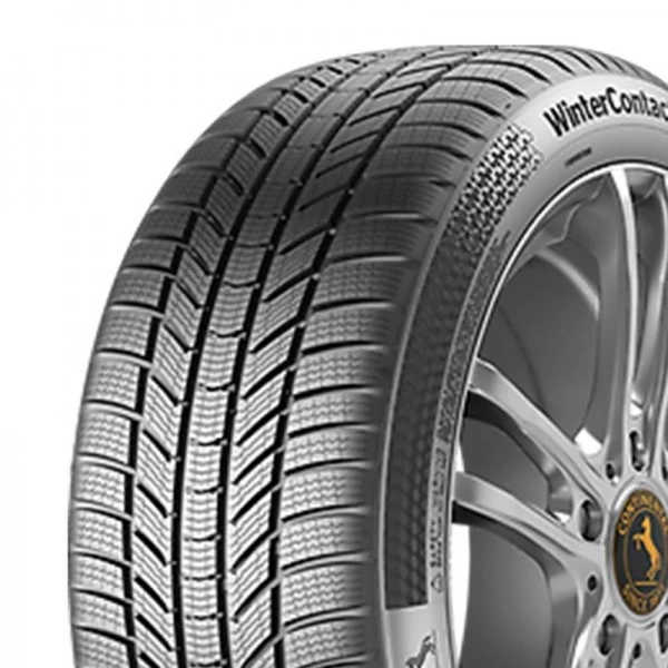 „Continental“ 285/45R19 „WinterContact TS870P 111V XL“ padanga