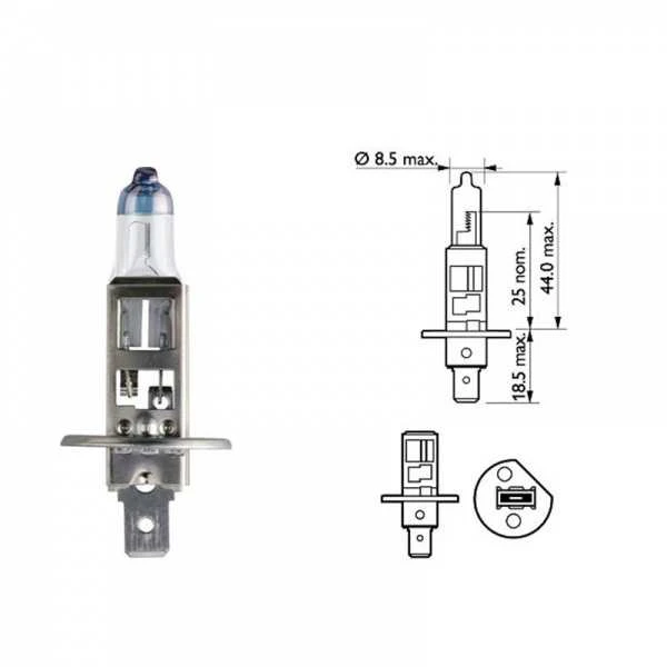 Philips H1 12258 lemputė su technine matmenų schema