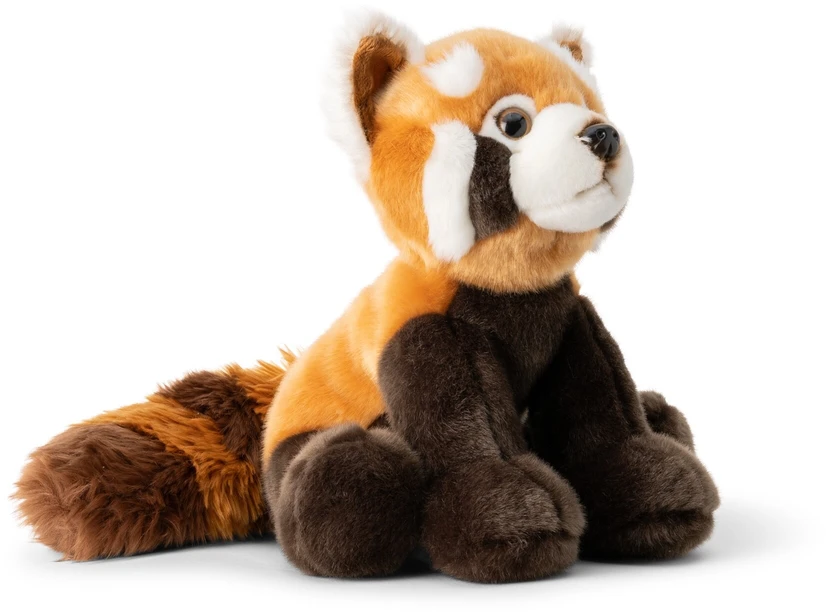 Dantė Raudonoji Panda