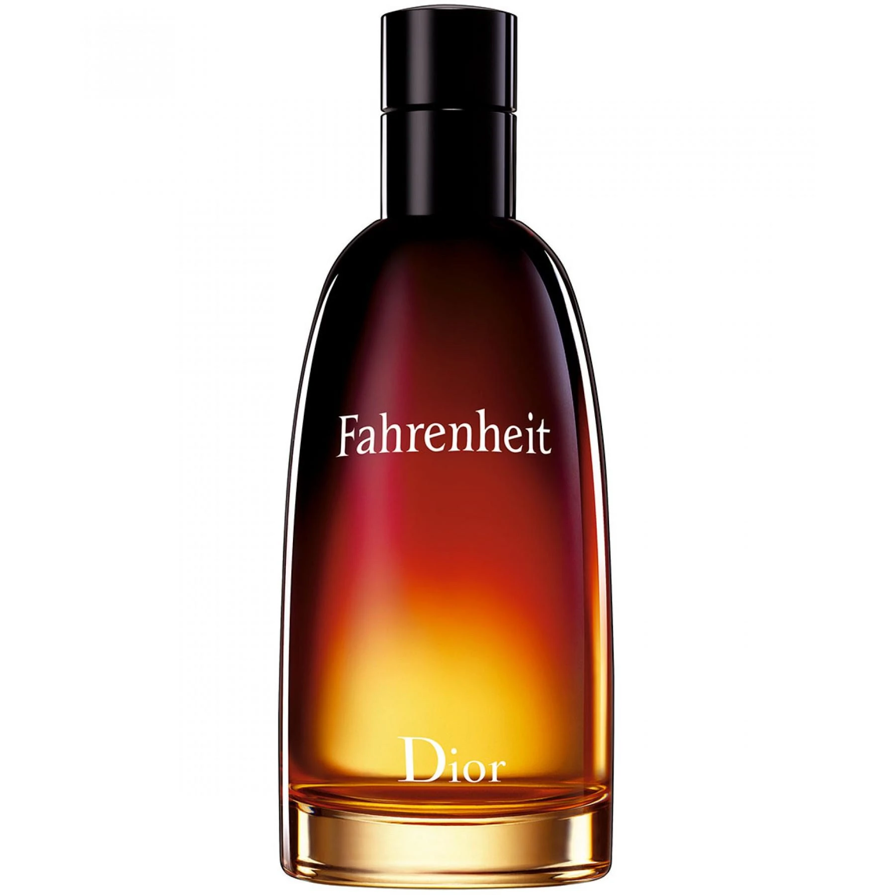 Kvepalai vyrams Christian Dior Fahrenheit EDT, 200 ml