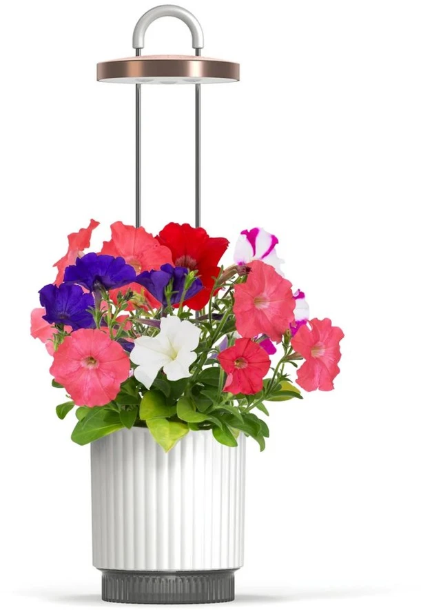 „Click Grow“ „Click and Grow“ – „HydroVase“ – balta