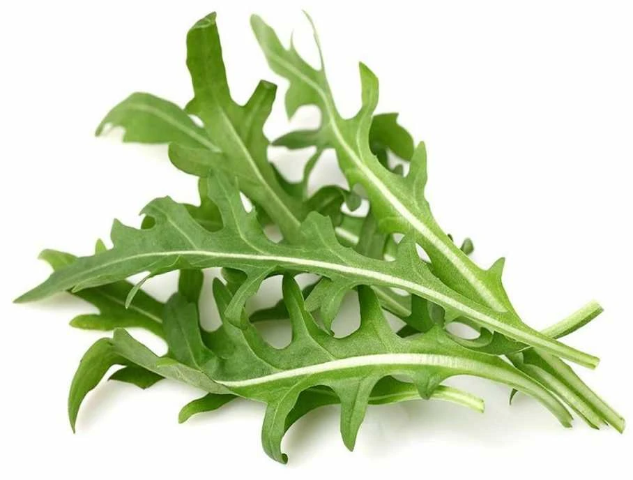 Click & Grow sėklos išmaniajam vazonui - Lapinės garstyčios (SGR19X3) 3vnt.