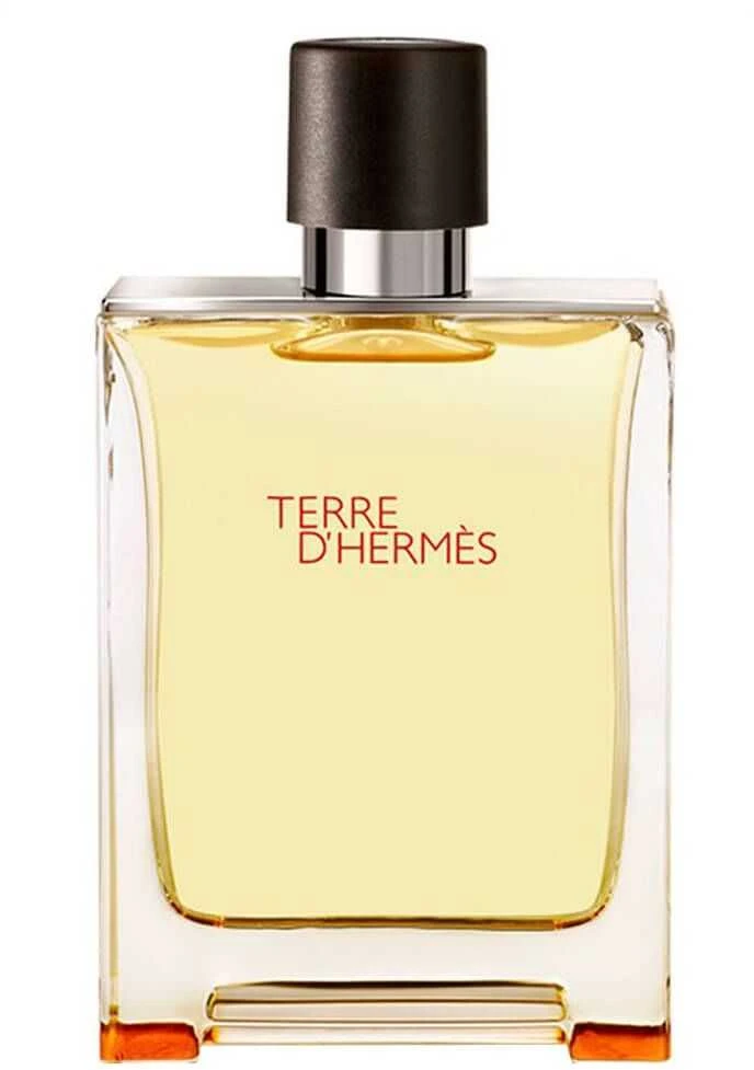 Hermes Terre D'hermes EDT tualetinis vanduo vyrams, 200 ml