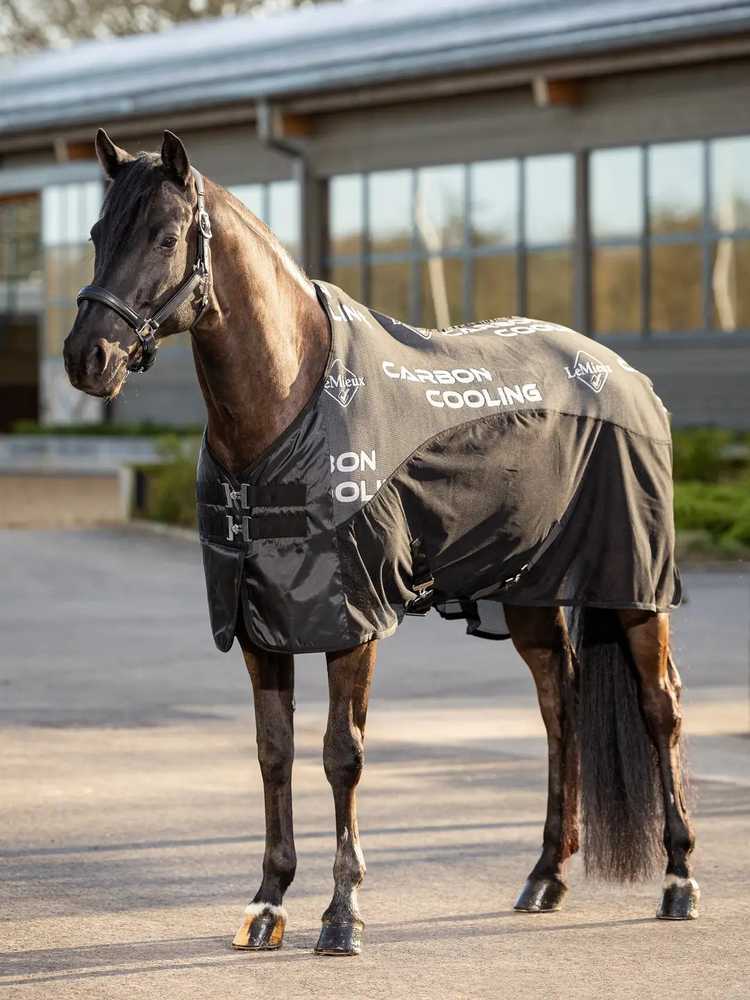 Lemieux - anglies pluošto vėsinamasis kilimėlis - juodas - 155 cm