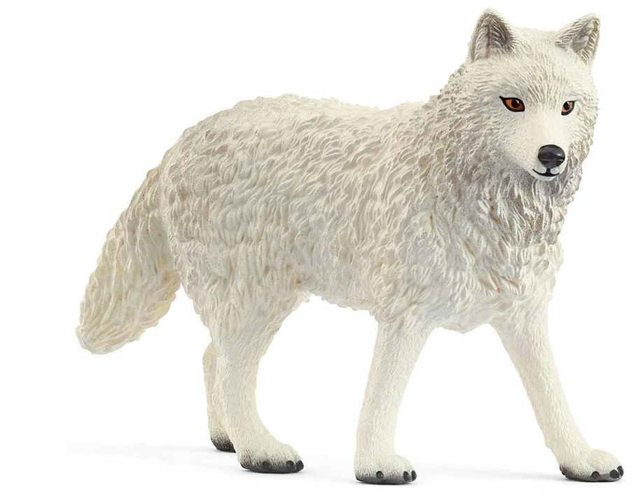 SCHLEICH WILD LIFE Arktinis vilkas