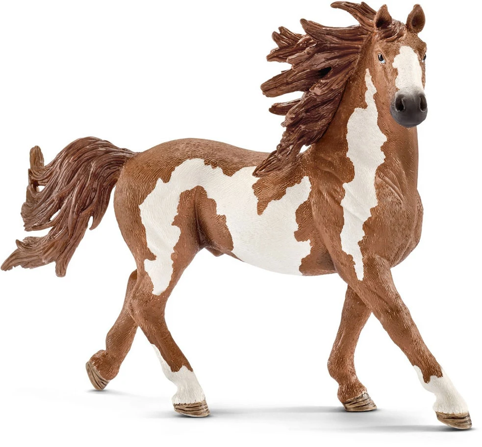 Schleich figūrėlė Pinto eržilas