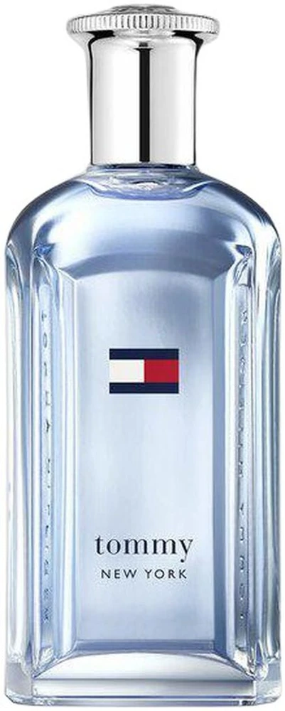 Tommy Hilfiger New York EDT tualetinis vanduo vyrams, 100 ml
