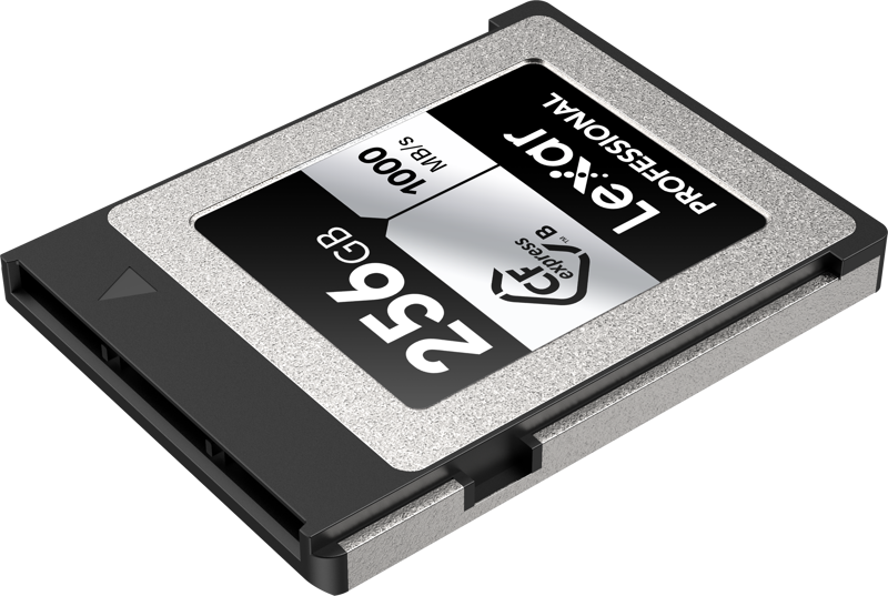 Atminties kortelė LEXAR CFexpress Pro Sidabrinis Serie R1750/W1300 256GB