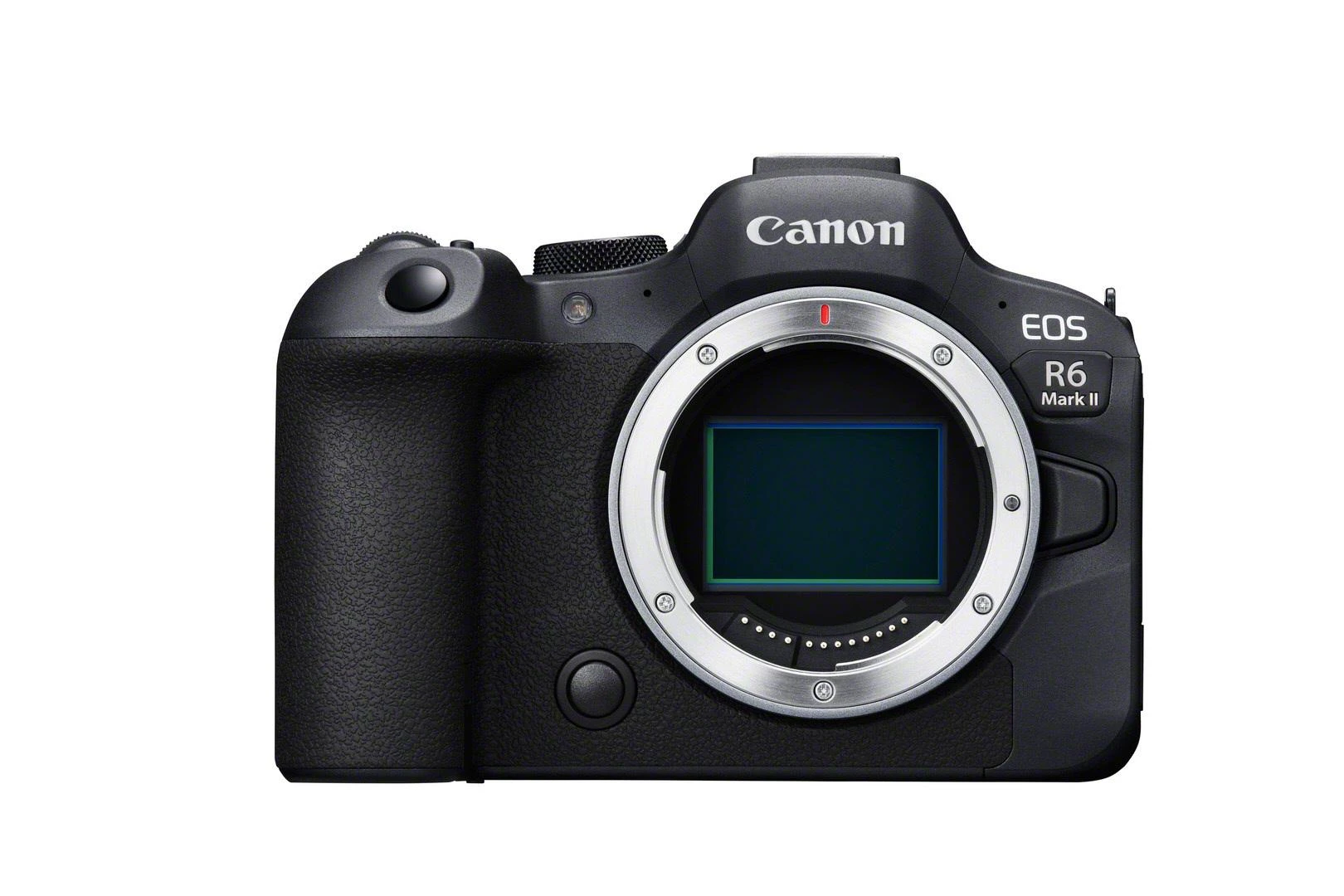 Canon EOS R6 Mark II + RF 24-105mm F4-7.1 IS STM
