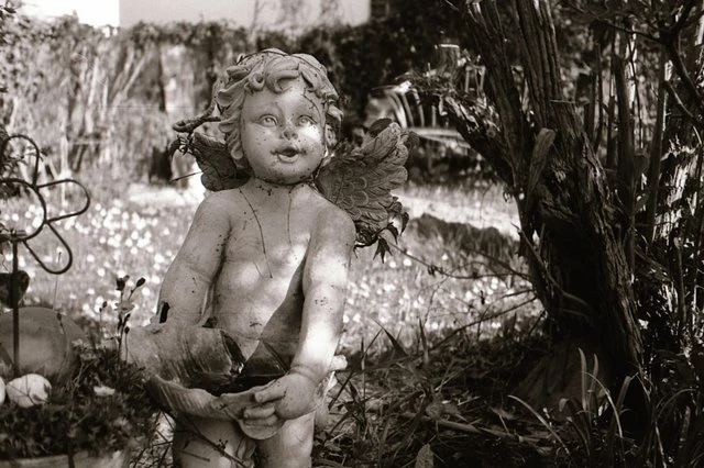 FOMA Fomapan 100 R S/W Direct Positive Film 135/36 aprašymas - Prekės nuotrauka