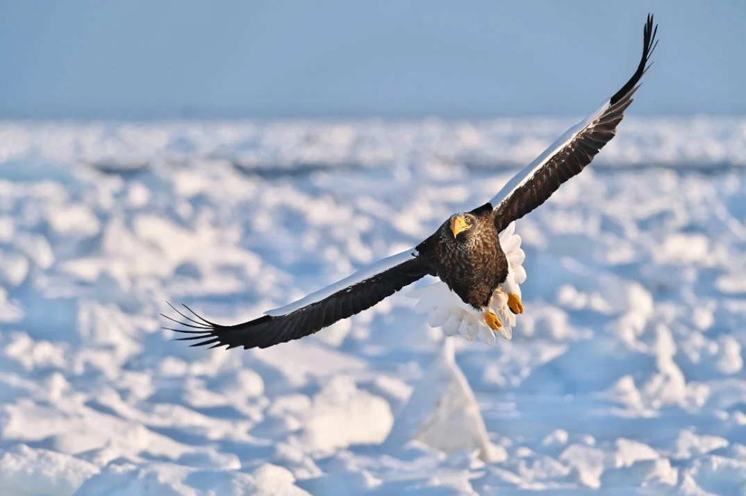Fujifilm Objektyvas Fujinon XF150-600mmF5.6-8 R LM OIS WR aprašymas - Prekės nuotrauka