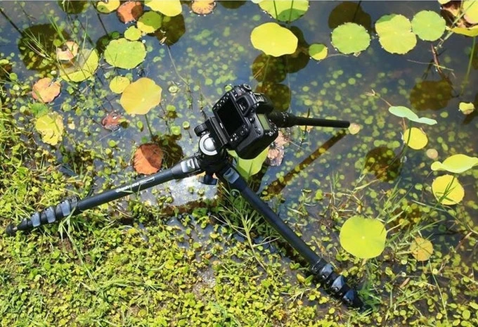 Objektyvas Laowa 24 mm f/14 2X makro zondas „Canon RF“ (standartinis) aprašymas - Prekės nuotrauka