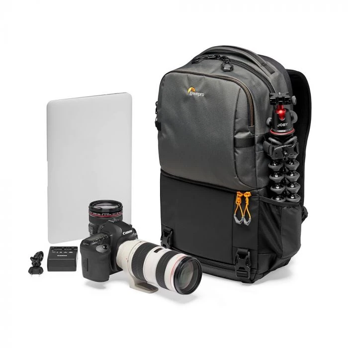 LOWEPRO FASTPACK BP 250 AW III Pilkas aprašymas - Prekės nuotrauka