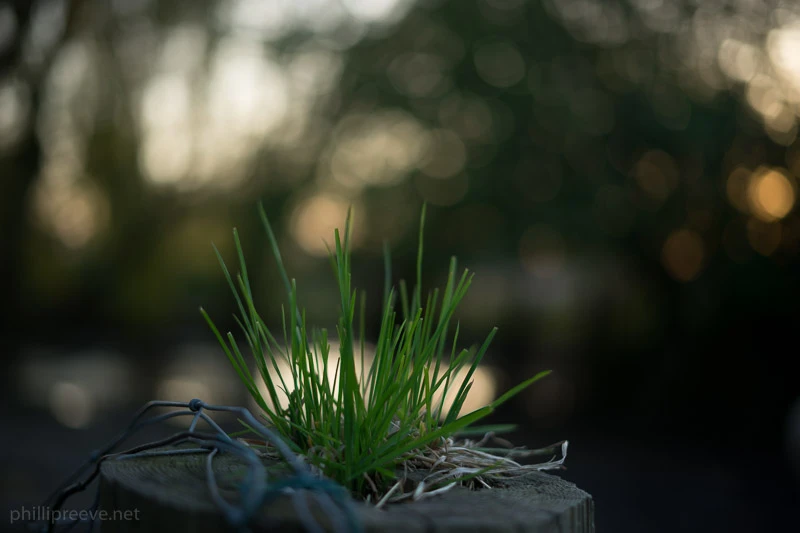Objektyvas Sony | SEL-50F18F FE 50mm F1.8 | Sony aprašymas - Prekės nuotrauka