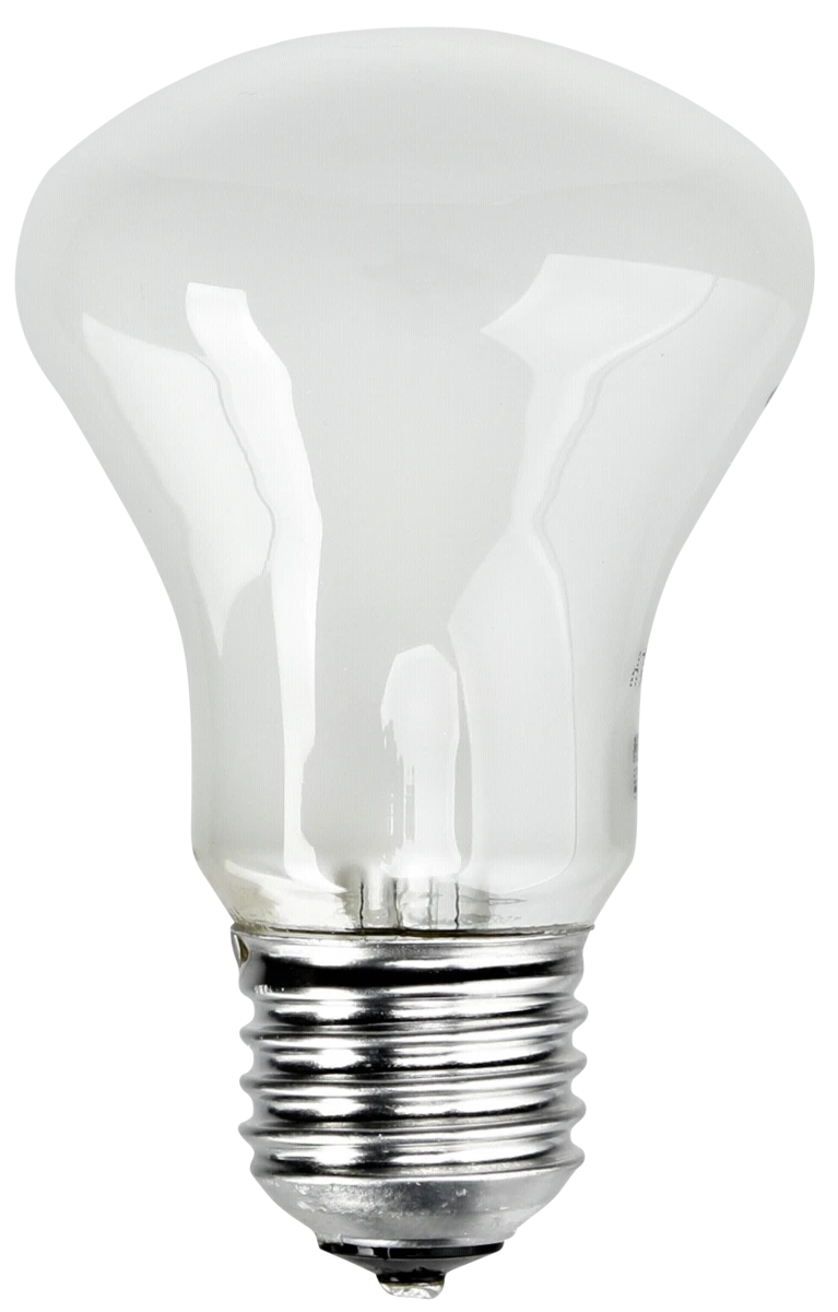 Elinchrom 100W/196V/E27 23002