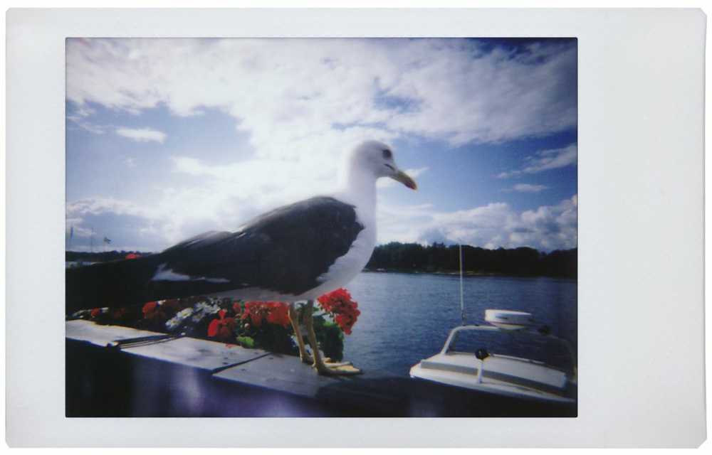 Momentinis fotoaparatas Lomography Lomo'Instant Sanremo