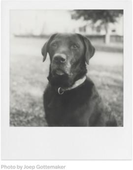 POLAROID B&W FILM, SKIRTA SX-70