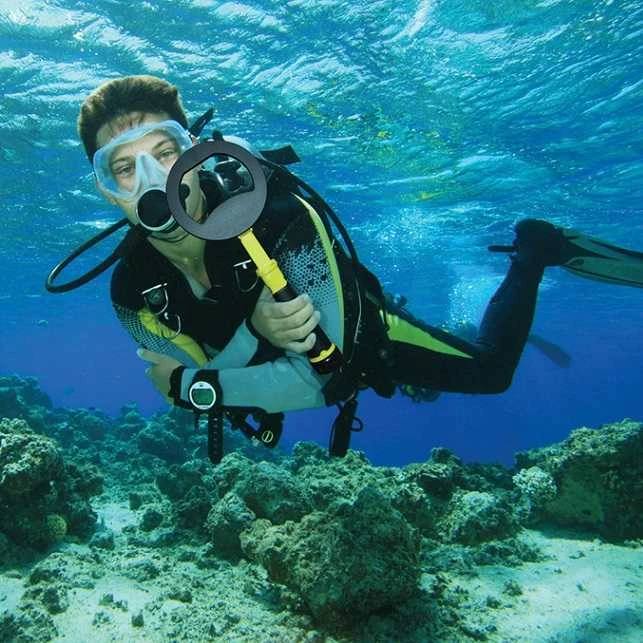 Nokta Pulse Dive