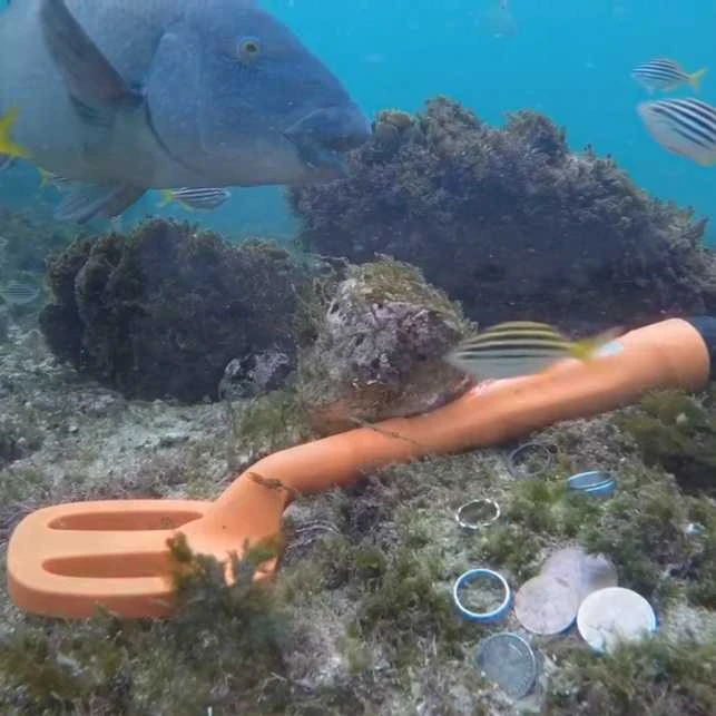QUEST Scuba Tector