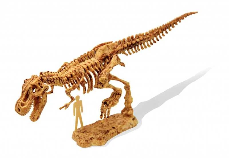Archeologo rinkinys T- REX ,,Išsikask dinozaurą du kartus”.