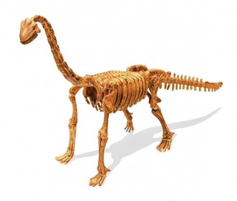 Archeologo rinkinys ,,Išsikask dinozaurą du kartus”, brachiosaurus