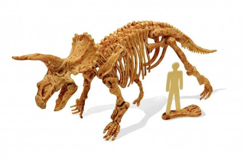 Archeologo rinkinys ,,Išsikask dinozaurą du kartus”, triceratops