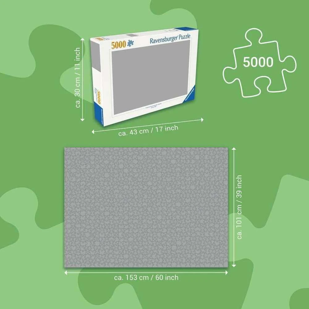 Dėlionė Kosmoso odisėja 5000