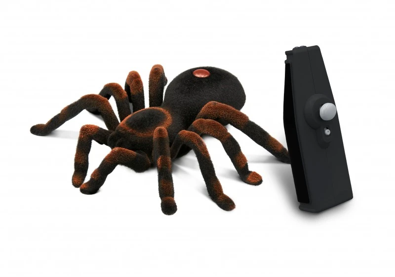 Nuotoliniu būdu valdoma tarantula 17cm – Buki France