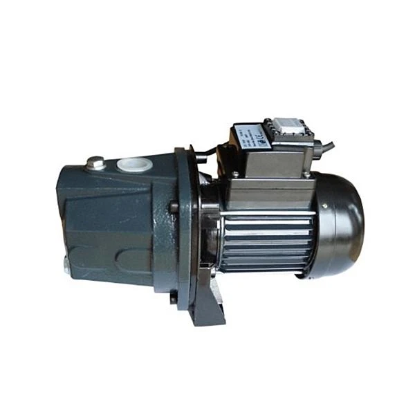 Terra Vandens siurblys 750 W