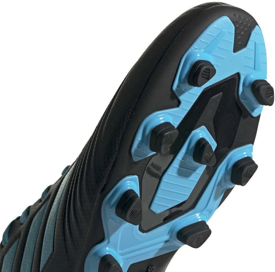 Adidas Avalynė Predator 19.4 FxG Juodas Mėlyna F35598