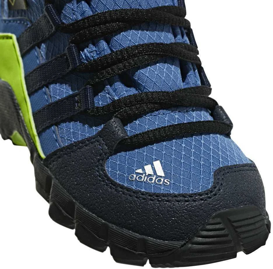 Adidas Avalynė Vaikams Terrex Mid Gtx Mėlyna