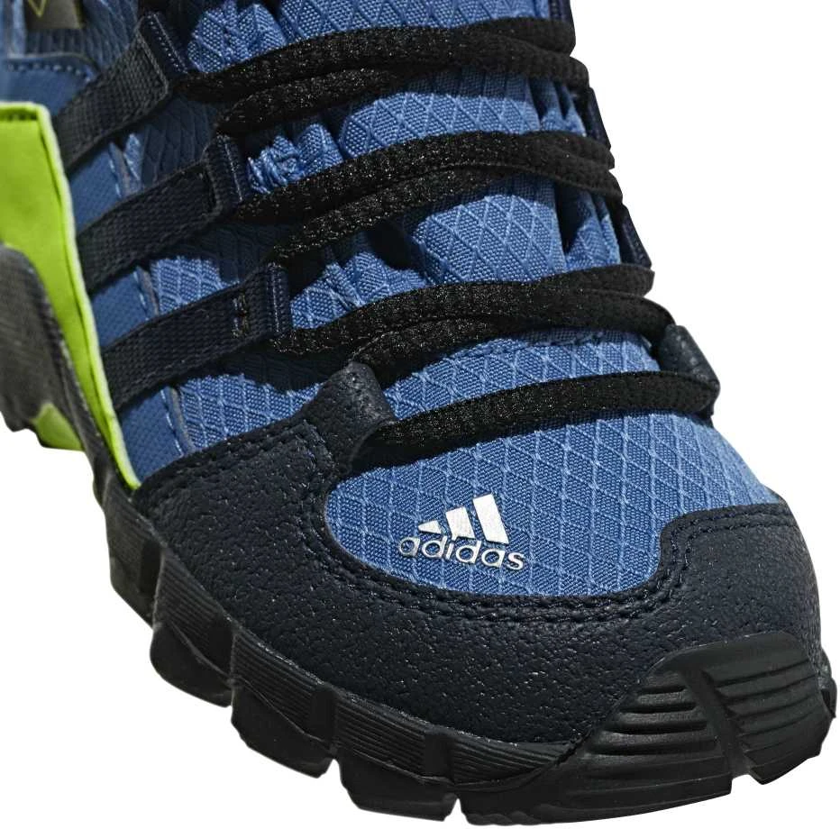 Adidas Avalynė Vaikams Terrex Mid Gtx Mėlyna
