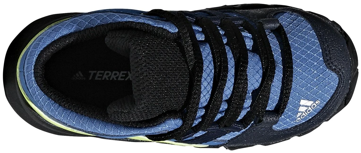 Adidas Avalynė Vaikams Terrex Mid Gtx Mėlyna