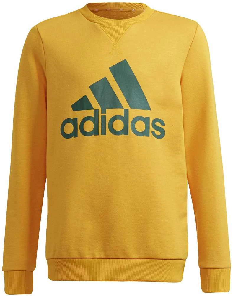 Adidas Džemperis Paaugliams B Bl Sweat Žalias Geltona GS4274