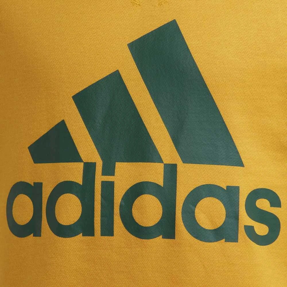 Adidas Džemperis Paaugliams B Bl Sweat Žalias Geltona GS4274