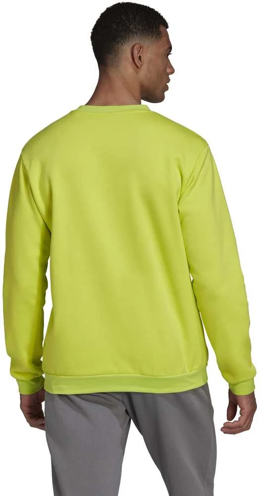 Adidas Džemperis Vyrams Ent22 Sw Top Geltona HC5049
