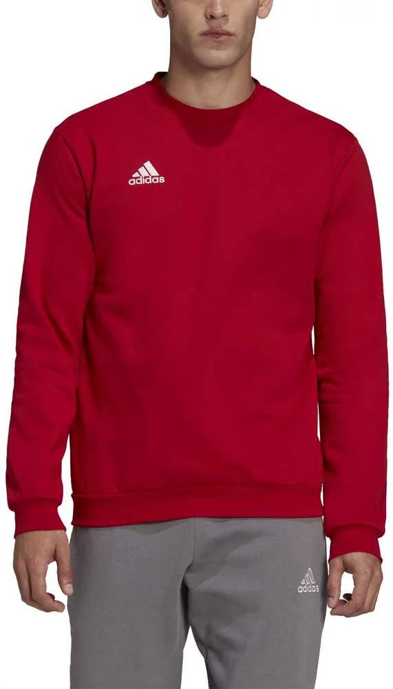 Adidas Džemperis Vyrams Ent22 Sweat Top Raudona HB0577
