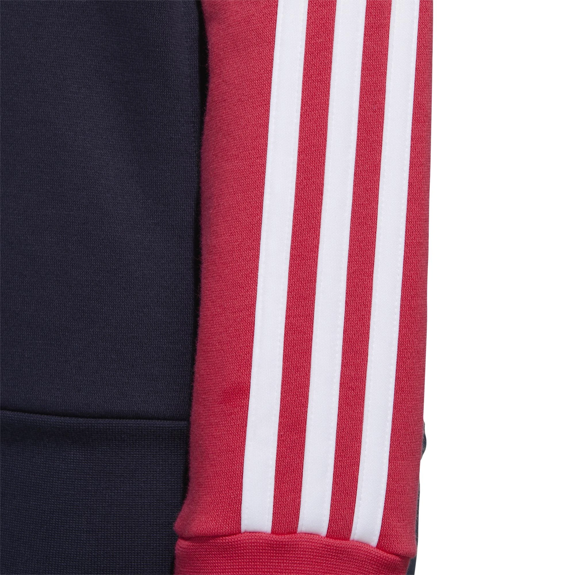 Adidas Džemperis W E Cb Fl Oh Hd Rožinė Mėlyna GL6303