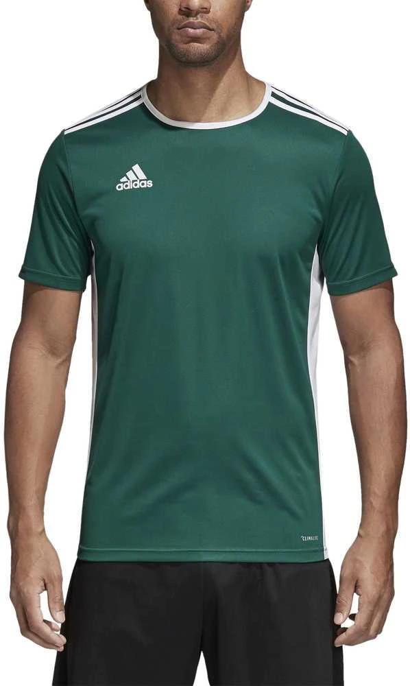 Adidas Futbolo Marškinėliai Entrada 18 Jsy Žalias CD8358D