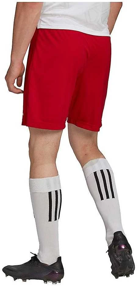 Adidas Futbolo Šortai Entrada 22 Raudona H61735