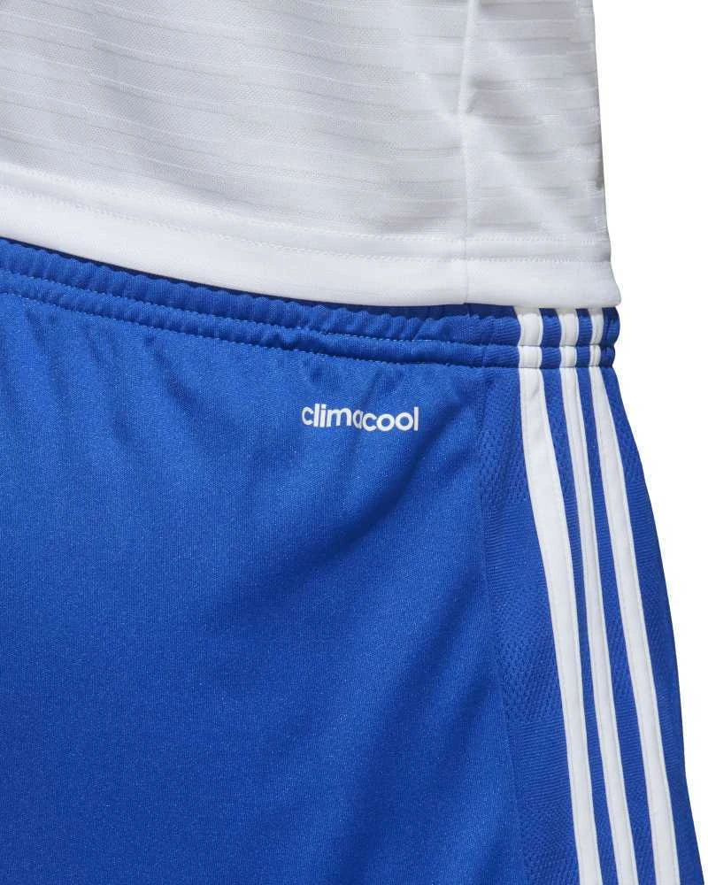 Adidas Futbolo Šortai Tastigo17 Shorts Mėlyna