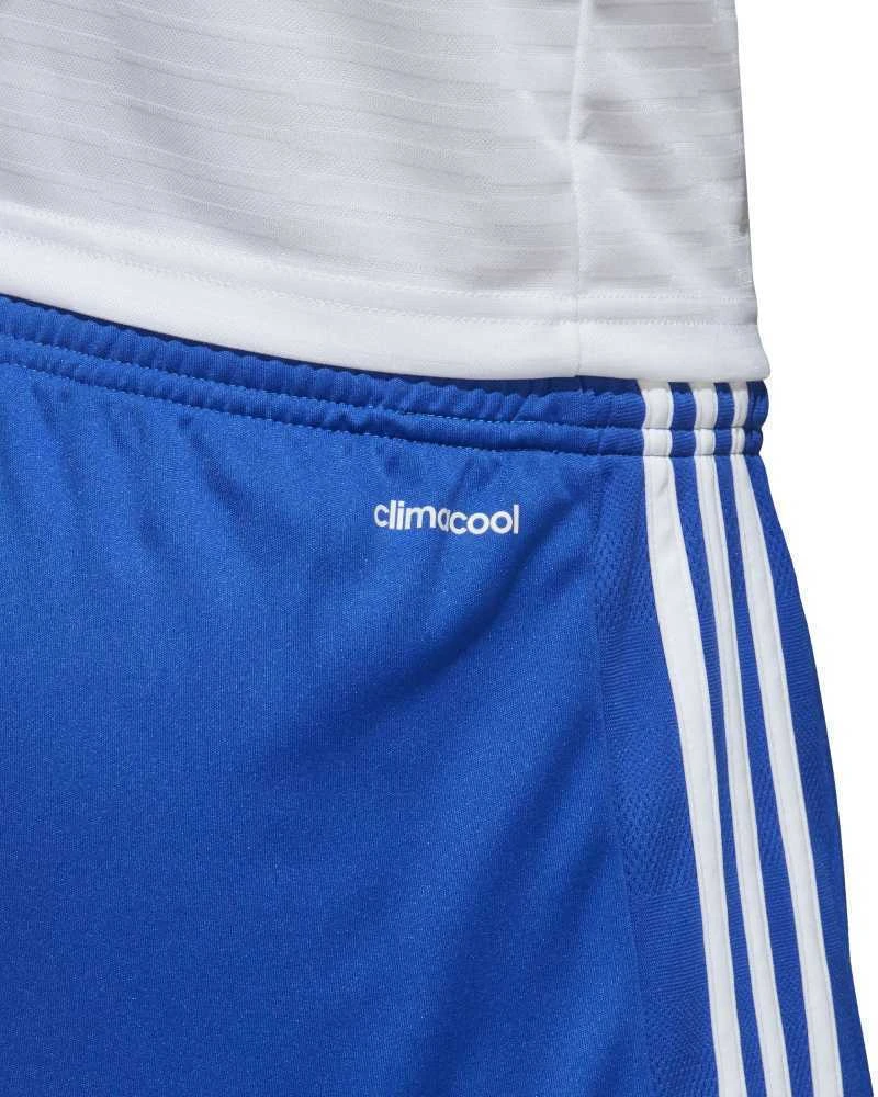 Adidas Futbolo Šortai Tastigo17 Shorts Mėlyna