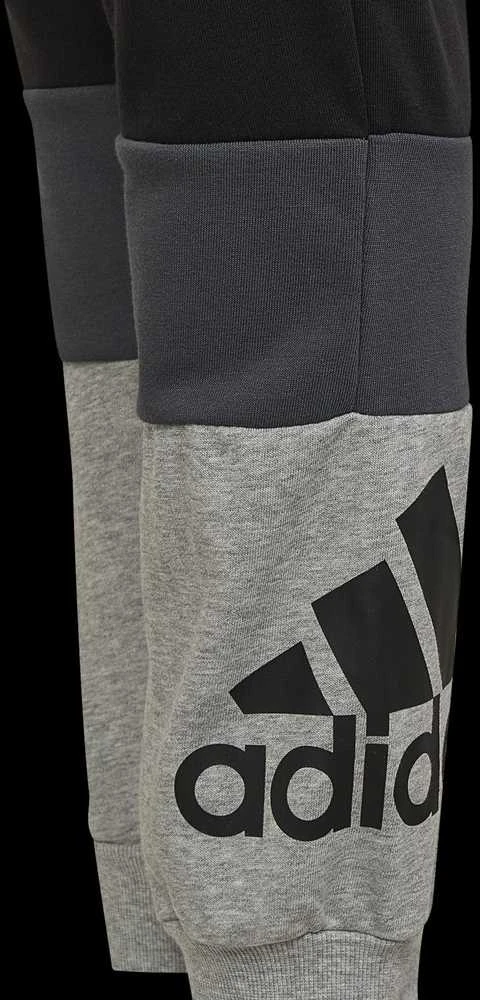 Adidas Kelnės Paaugliams U Cb Pants Juodas Pilkas HG6827