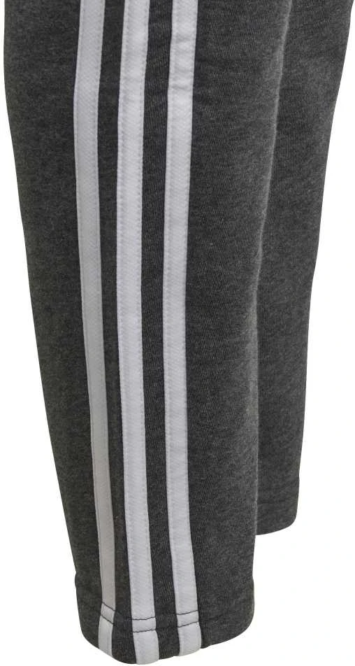 Adidas Kelnės Paaugliams Yb 3S Ft Pants Pilkas DJ1794