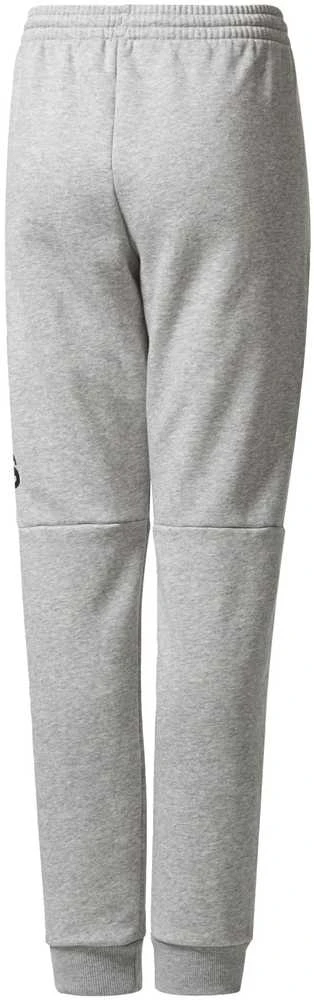 Adidas Kelnės Paaugliams Yb Sid Pants Pilkas CF2457