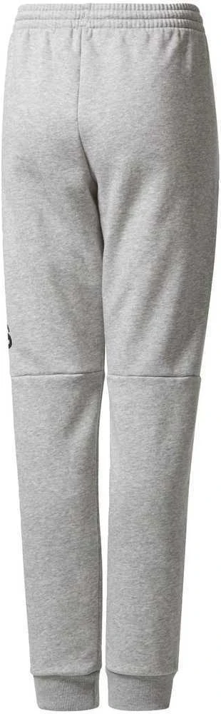 Adidas Kelnės Paaugliams Yb Sid Pants Pilkas CF2457